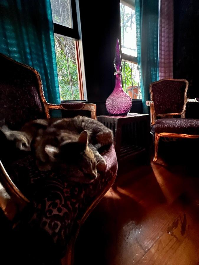 Boutique Hotel And Gallery In San Angel Inn Мексико Сити Екстериор снимка